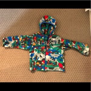 Patagonia hooded fleece